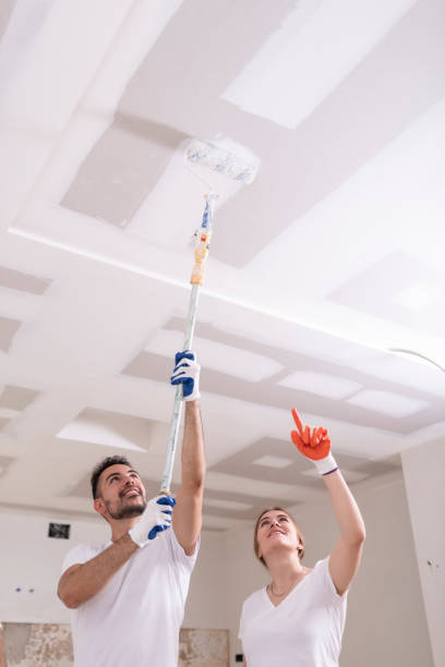 Best Mold Documentation for Insurance Claims  in Ridgewood, IL