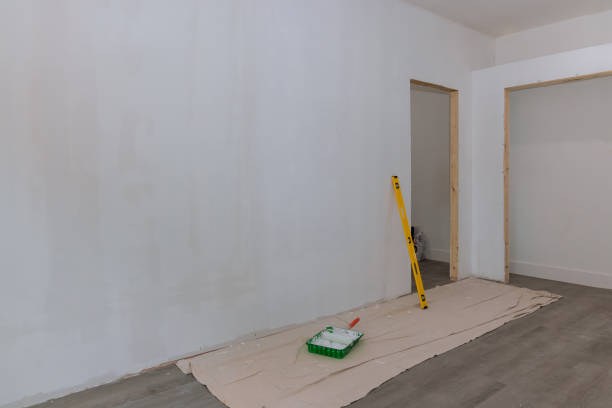 Best Airborne Mold Testing  in Ridgewood, IL
