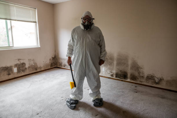 Asbestos and Lead Testing During Mold Inspection in Ridgewood, IL
